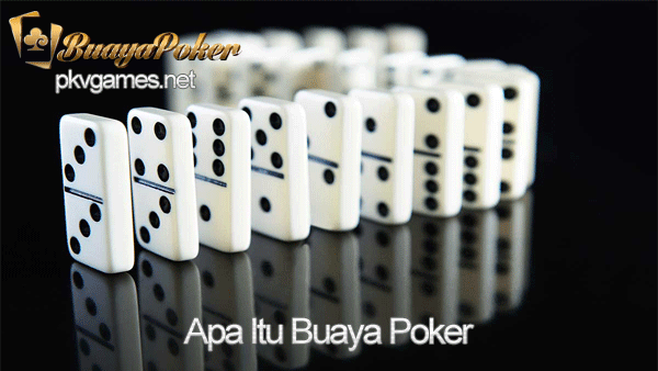 Apa Itu Buaya Poker